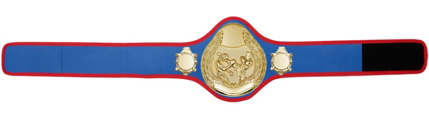 THAI BOXING CHAMPIONSHIP BELT-PRO301/G/TBOG- 10 + COLOURS THAI BOXING CHAMPIONSHIP BELT-PRO301/G/TBOG- 10 + COLOURS